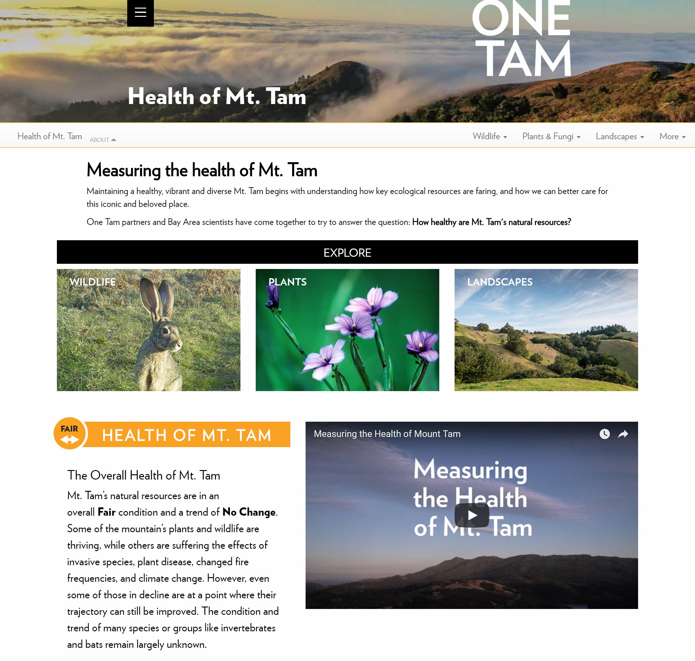 'Health of Mt. Tam' webpage screenshot