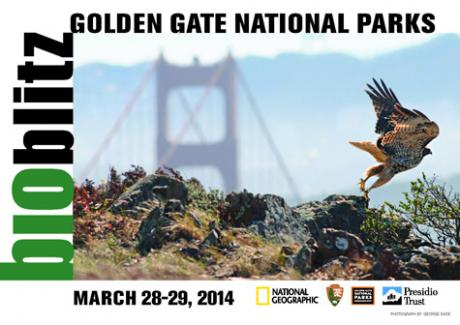 'Golden Gate National Parks Bioblitz' banner image
