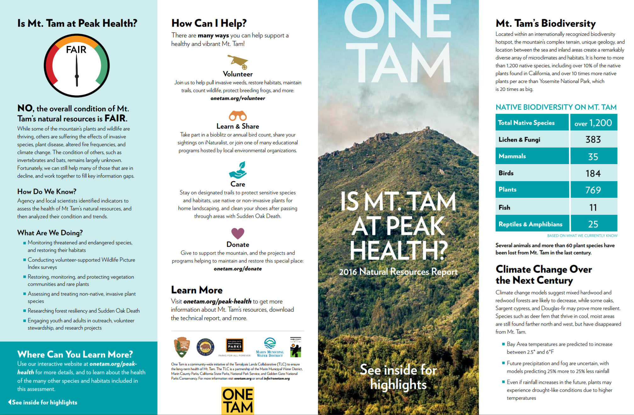 'Is Mt. Tam at Peak Health' brochure screenshot
